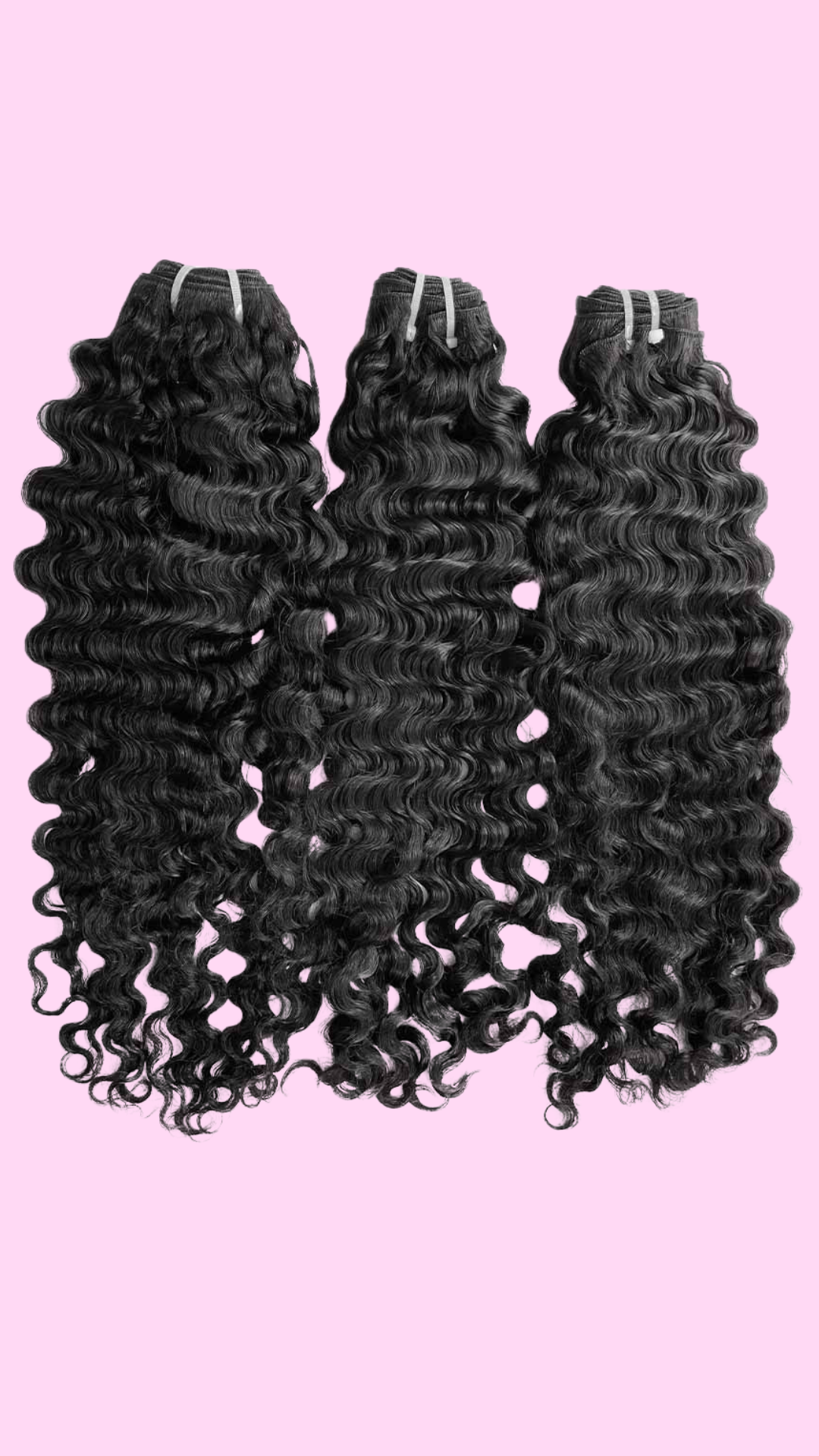 Burmese Curly